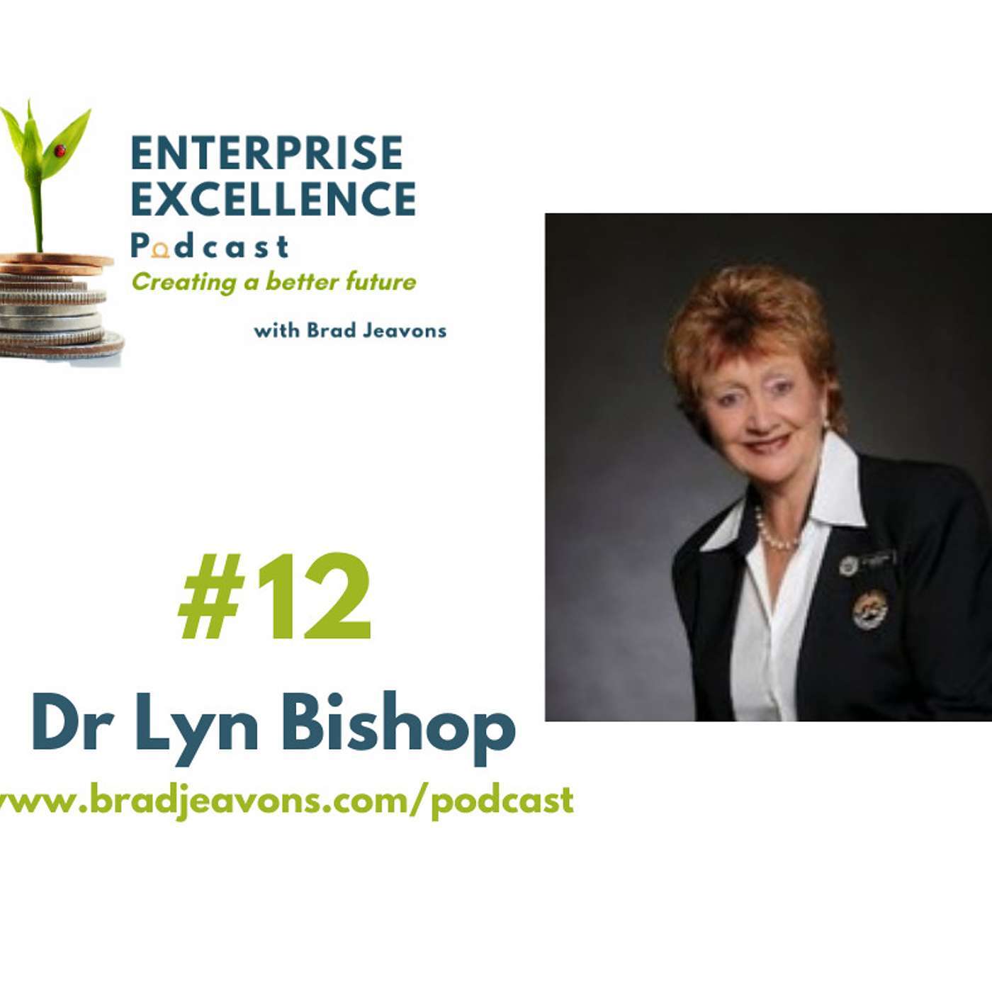 #12 A Journey into Educational Excellence with Dr Lyn Bishop