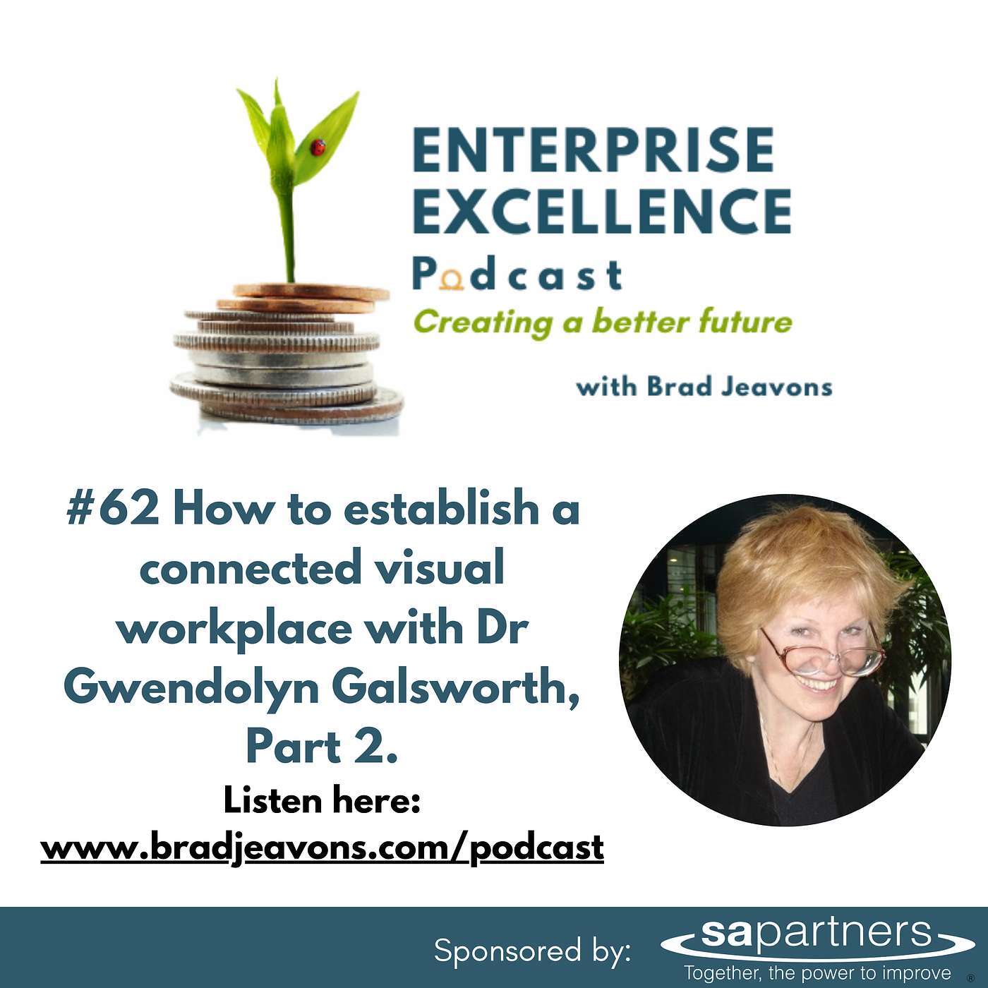 #62 How to establish a connected visual workplace with Dr. Gwendolyn Galsworth, Part 2.